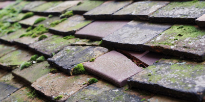 America roof repair costs
